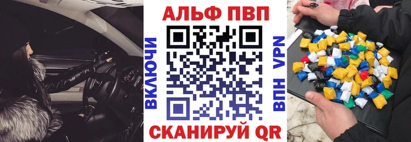 A PVP СК КРИС Гдов