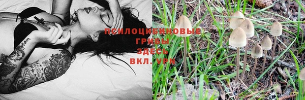мяу мяу мука Волосово