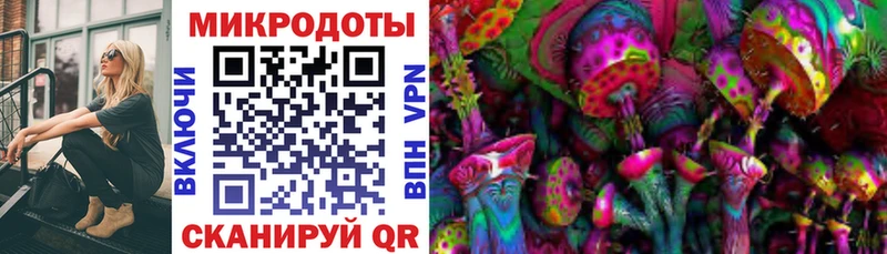 МЕГА онион  закладки  Гдов  Псилоцибиновые грибы Psilocybe 