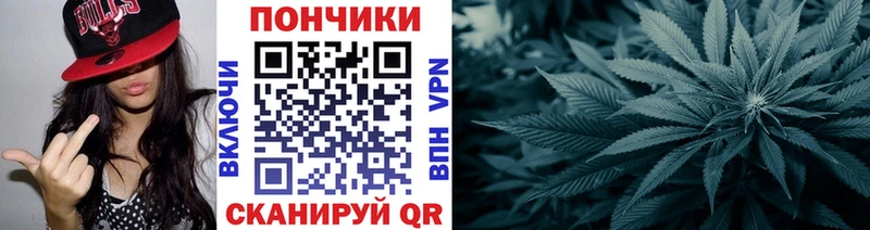 МАРИХУАНА ГИДРОПОН  Гдов 